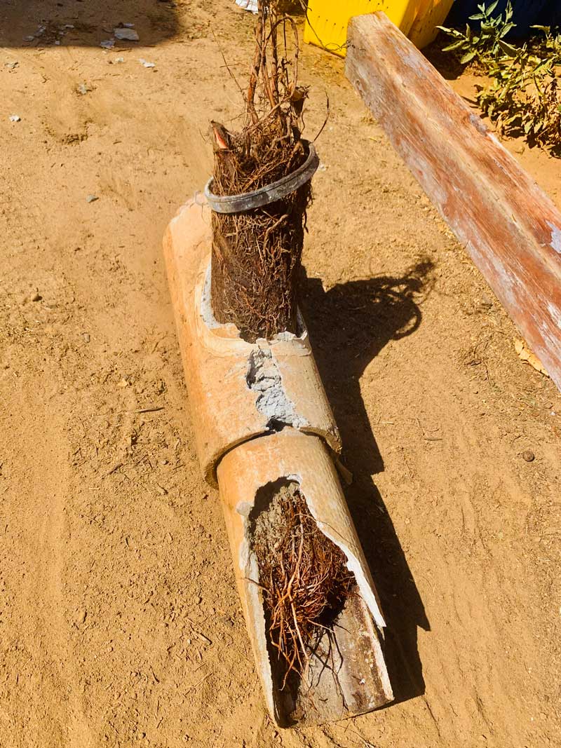 Replacing a septic system