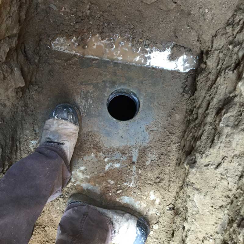 Septic system dye test